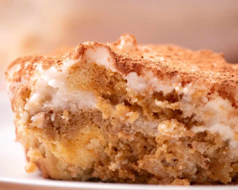 Vegan Tiramisu close landscape